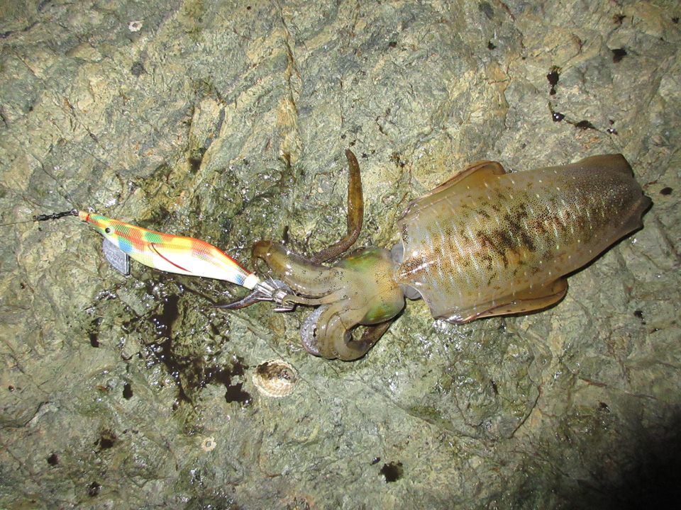 IMG_0025.jpg IMG_0025.jpg