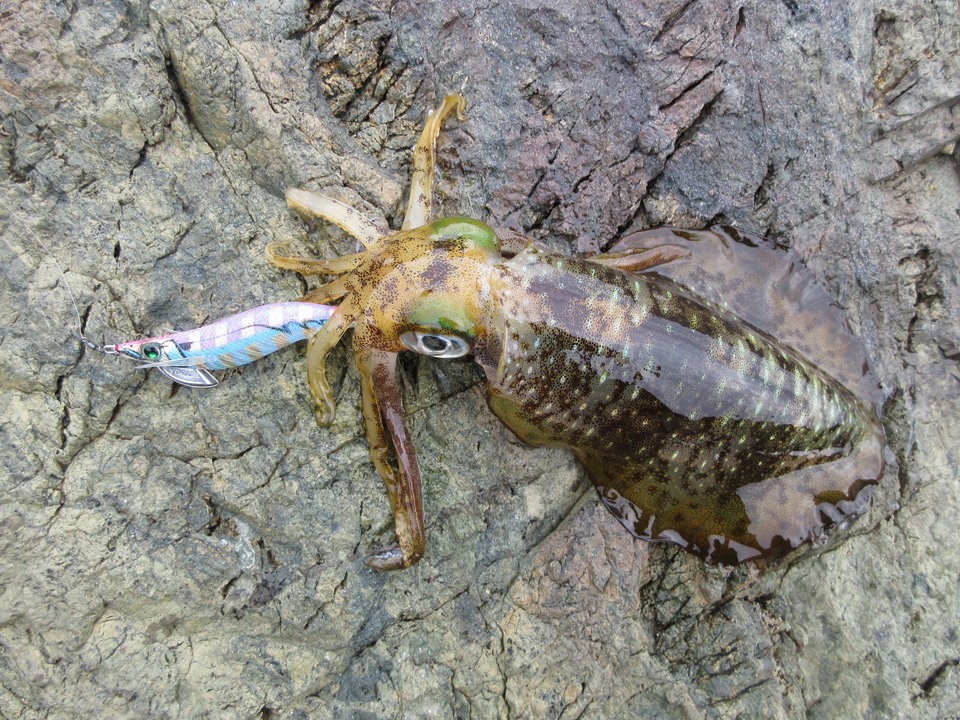 IMG_0030.jpg IMG_0030.jpg