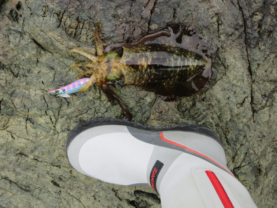 IMG_0033.jpg IMG_0033.jpg