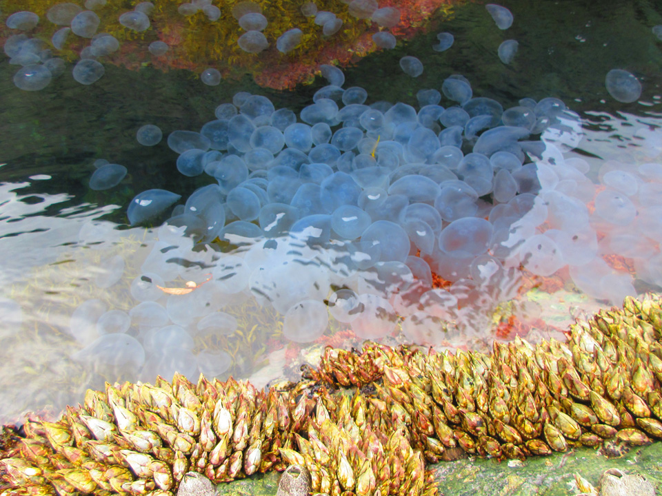 IMG_0043.jpg IMG_0043.jpg