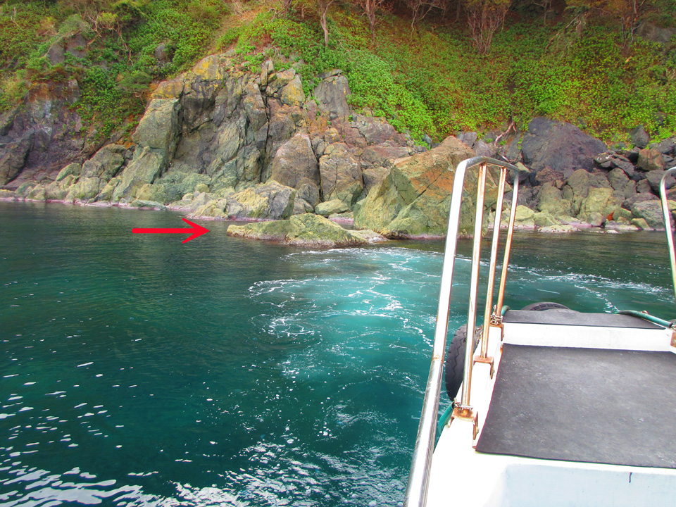 IMG_0044.jpg IMG_0044.jpg