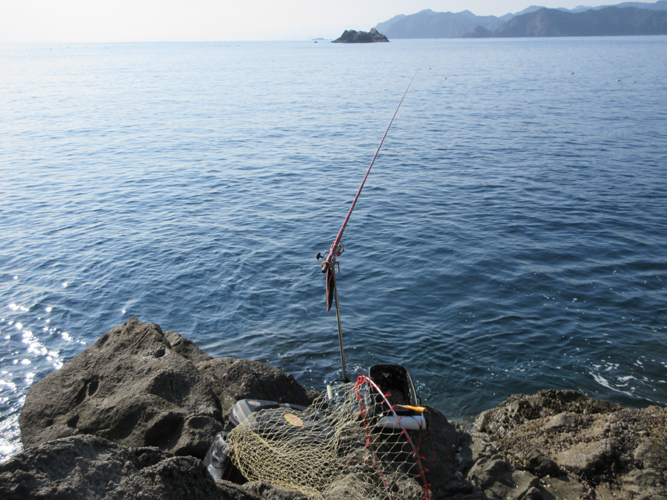 IMG_0137.jpg IMG_0137.jpg