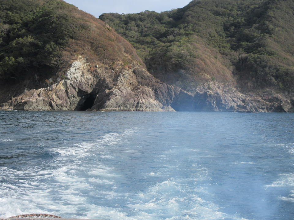 IMG_0156.jpg IMG_0156.jpg