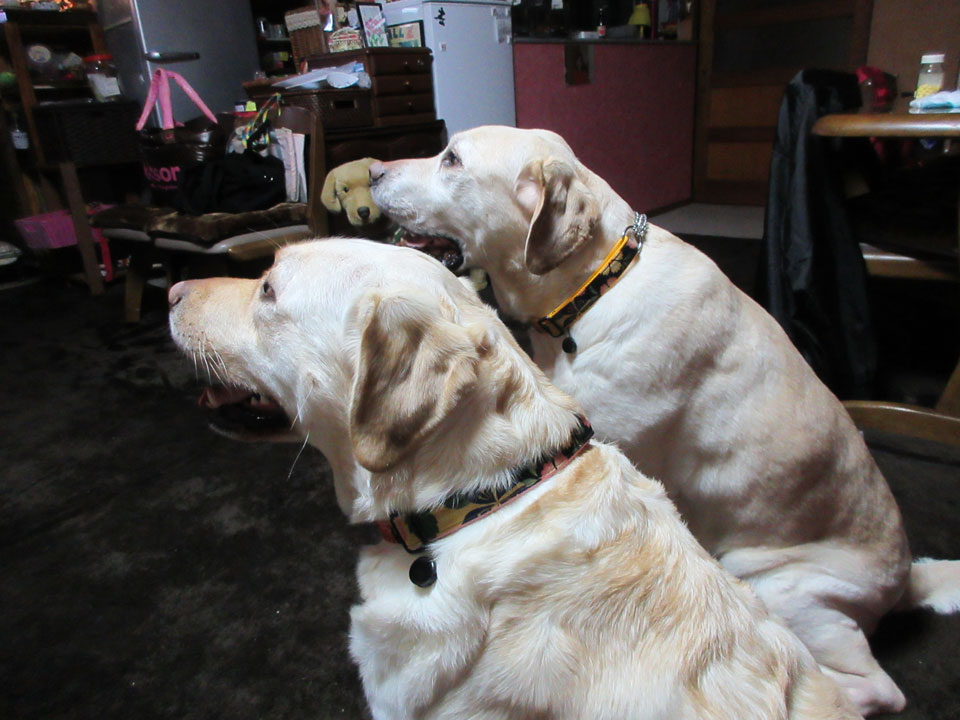 IMG_0212.jpg IMG_0212.jpg