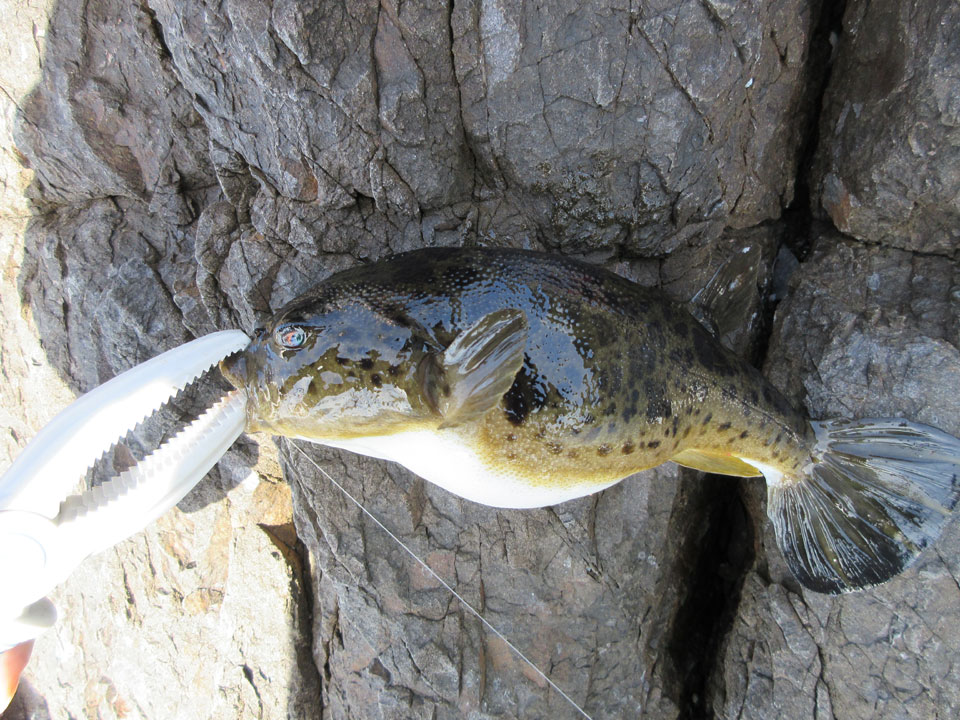 IMG_0219.jpg IMG_0219.jpg