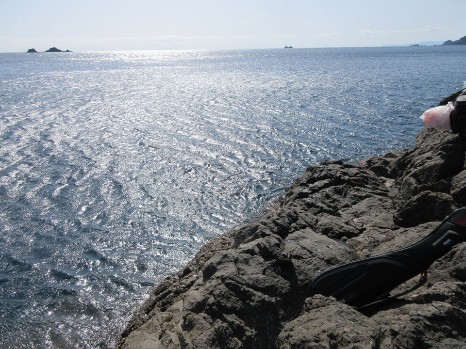 IMG_0223.jpg IMG_0223.jpg