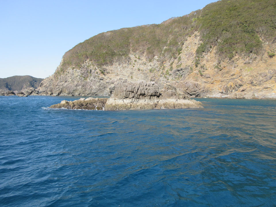 IMG_0224.jpg IMG_0224.jpg