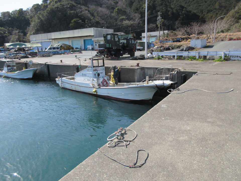 IMG_0229.jpg IMG_0229.jpg