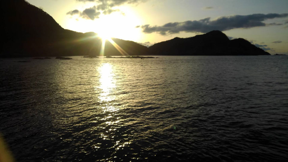 timeline_20190212_213550.jpg timeline_20190212_213550.jpg