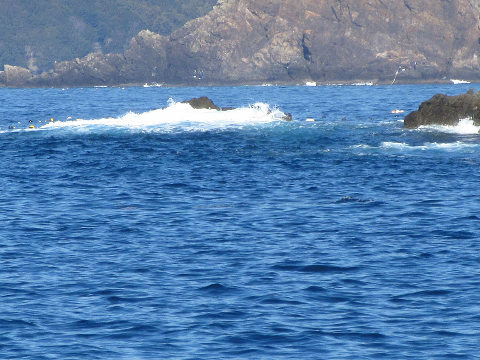 IMG_0299.jpg IMG_0299.jpg