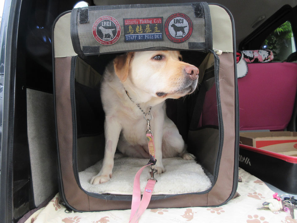 IMG_0455.jpg IMG_0455.jpg