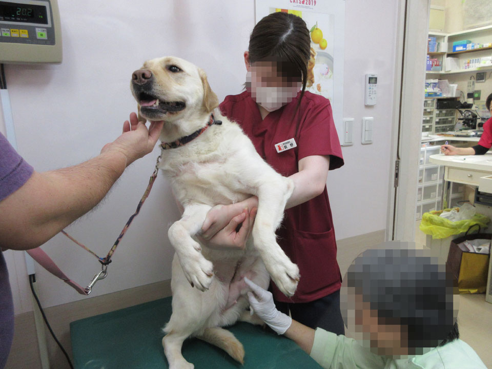 IMG_0456.jpg IMG_0456.jpg