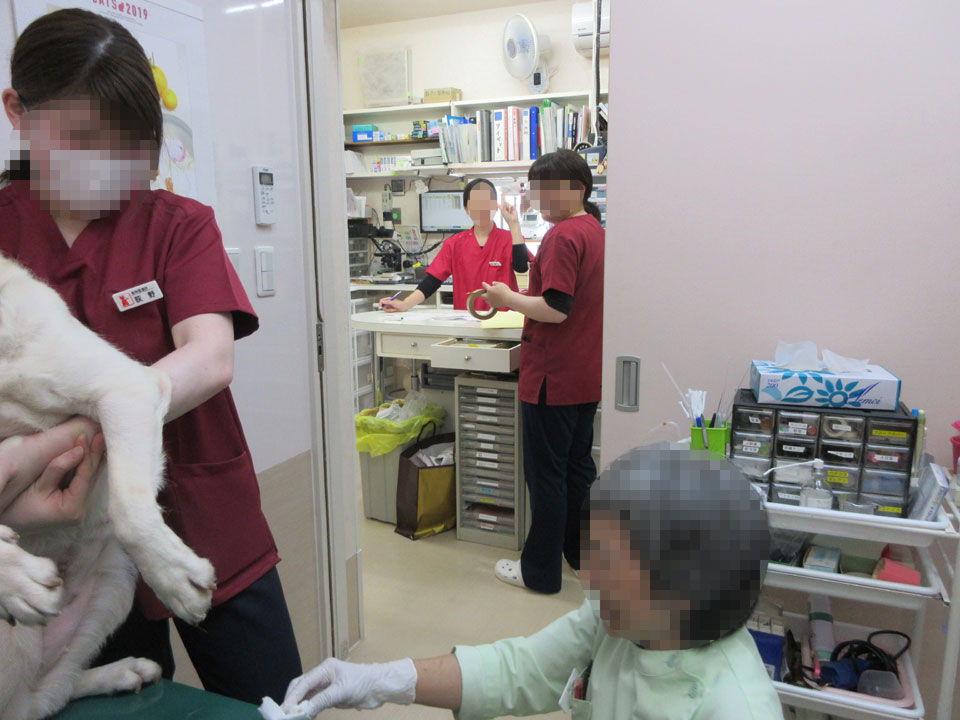 IMG_0457.jpg IMG_0457.jpg