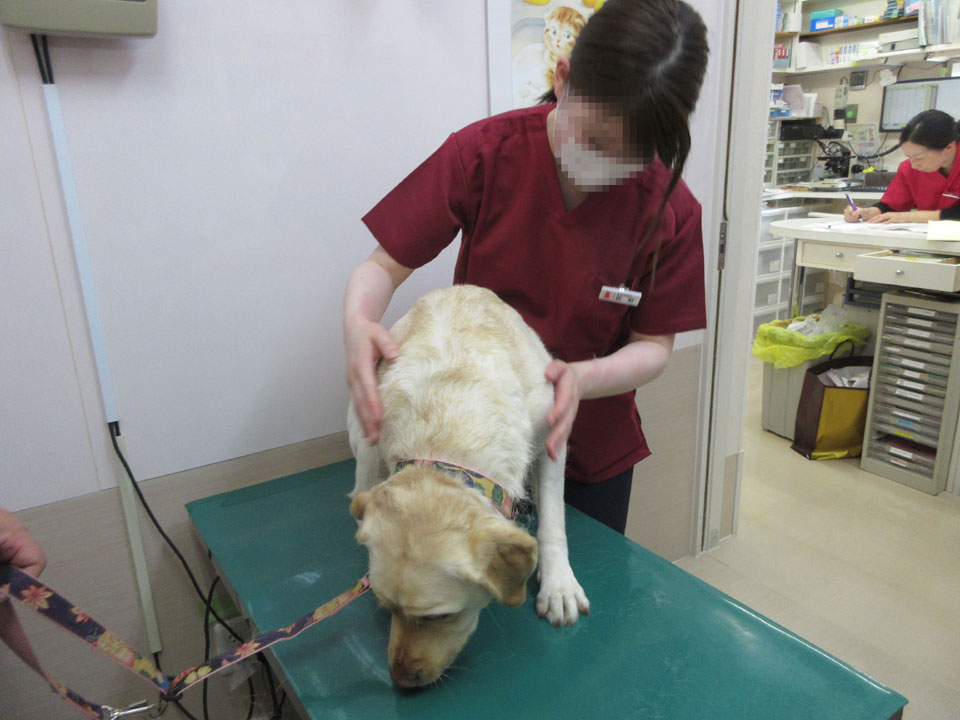 IMG_0458.jpg IMG_0458.jpg