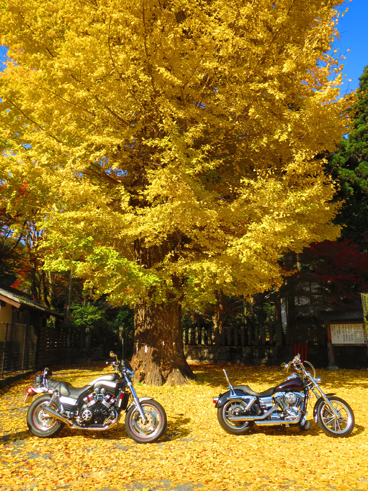 IMG_6535.jpg IMG_6535.jpg