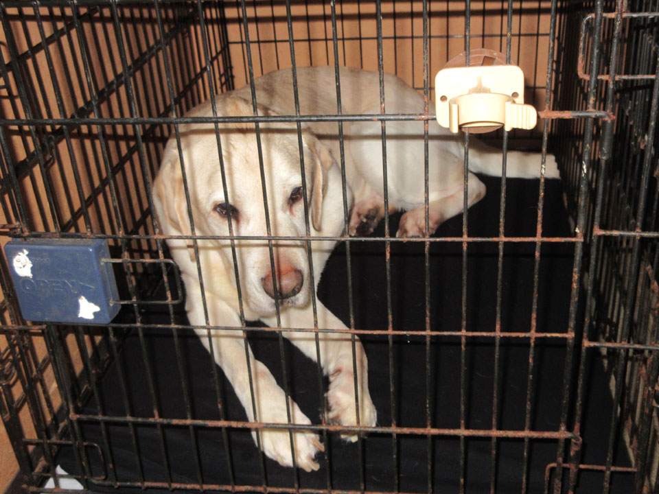 IMG_0886.jpg IMG_0886.jpg