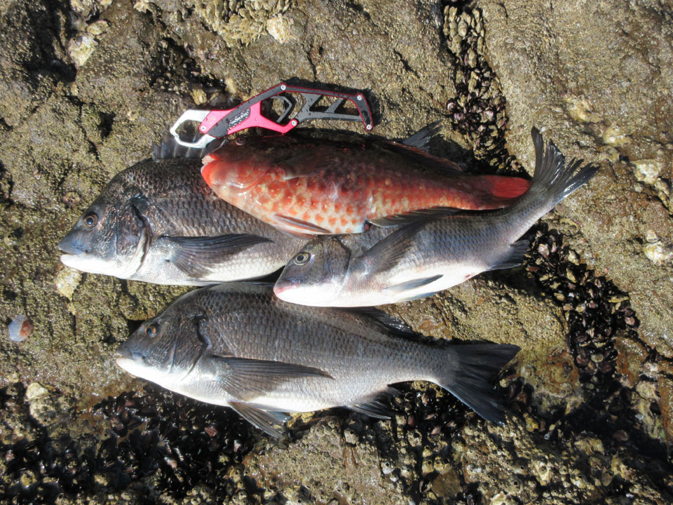 IMG_0893.jpg IMG_0893.jpg