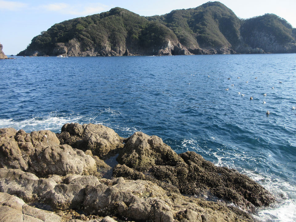 IMG_0894.jpg IMG_0894.jpg