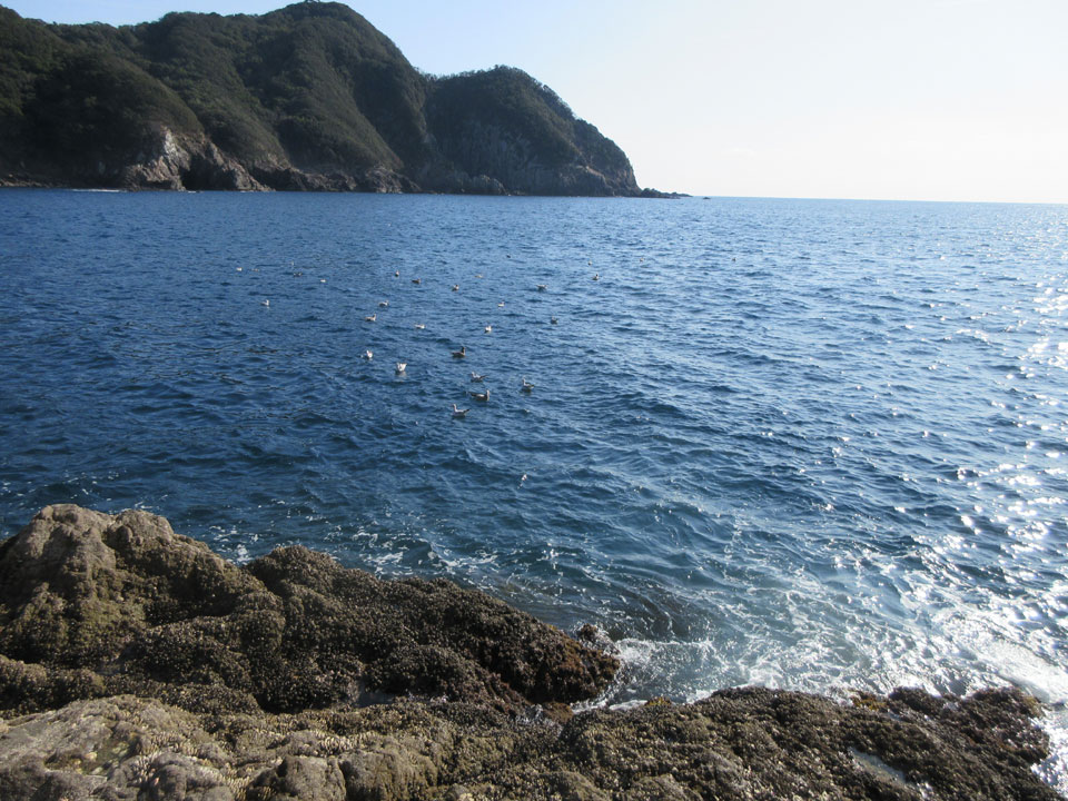 IMG_0895.jpg IMG_0895.jpg