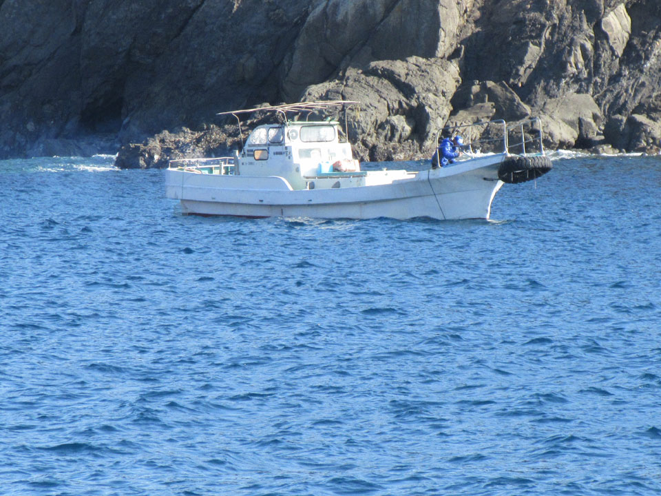 IMG_0896.jpg IMG_0896.jpg