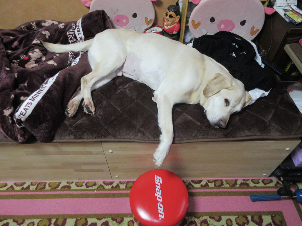 IMG_0897.jpg IMG_0897.jpg