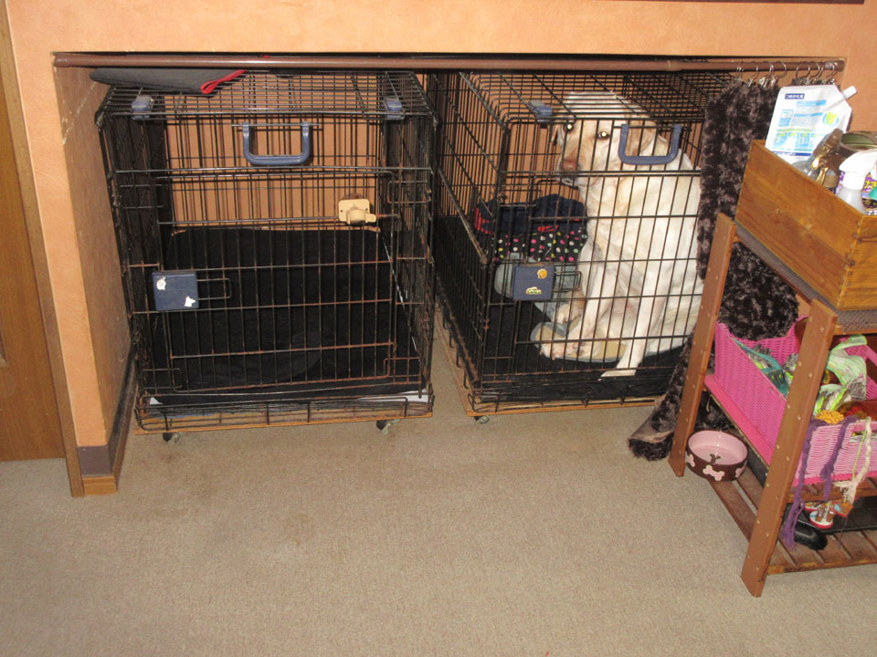 IMG_0898.jpg IMG_0898.jpg