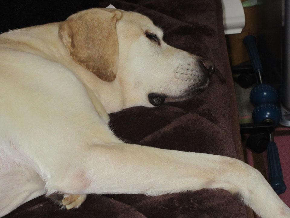 IMG_0899.jpg IMG_0899.jpg