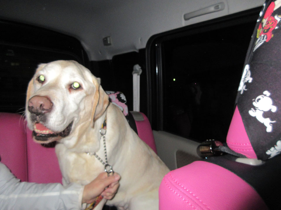 IMG_0900.jpg IMG_0900.jpg