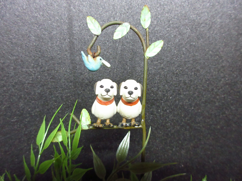 IMG_1090.jpg IMG_1090.jpg