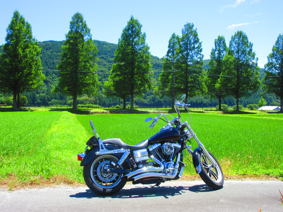 IMG_1129.jpg IMG_1129.jpg