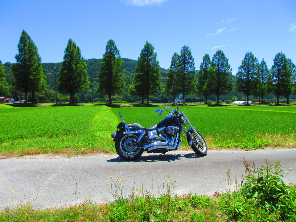 IMG_1130.jpg IMG_1130.jpg