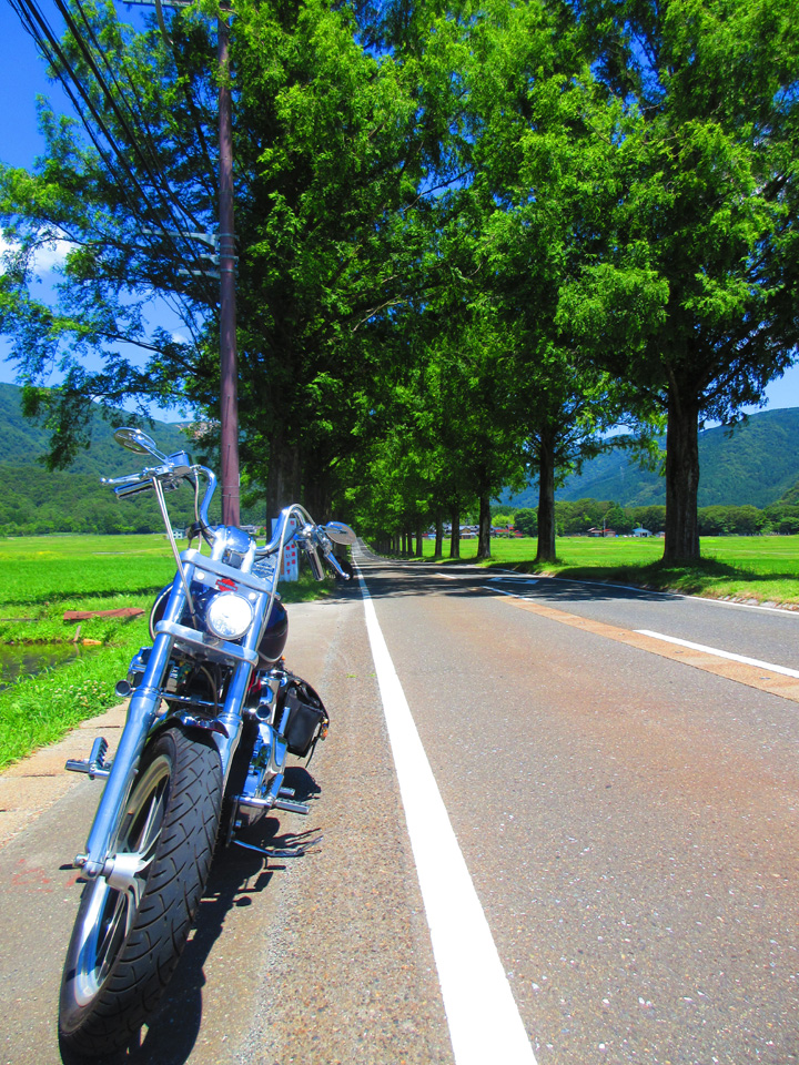 IMG_1132.jpg IMG_1132.jpg