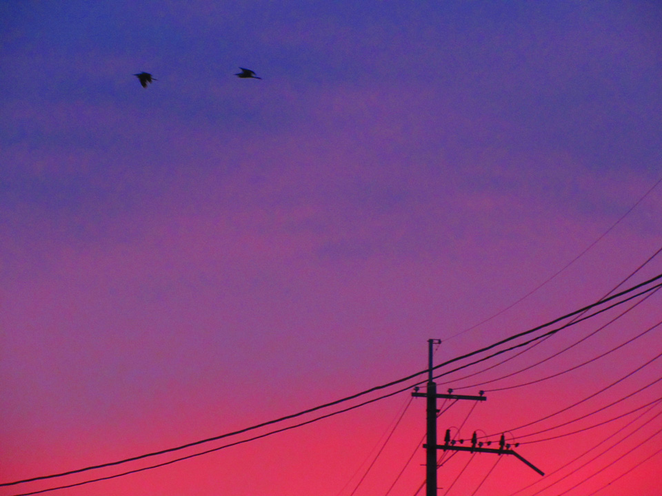 IMG_1138.jpg IMG_1138.jpg