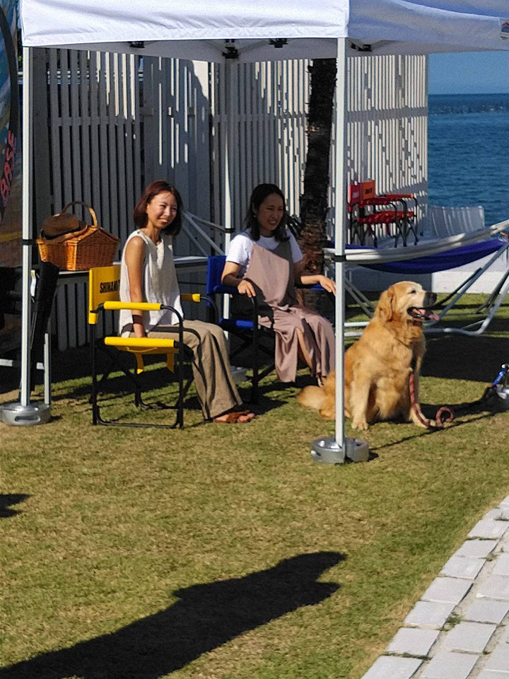 timeline_20200623_205319.jpg timeline_20200623_205319.jpg