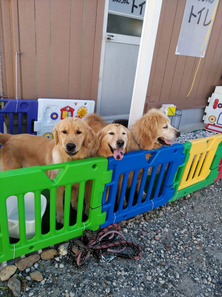 timeline_20200623_205326.jpg timeline_20200623_205326.jpg