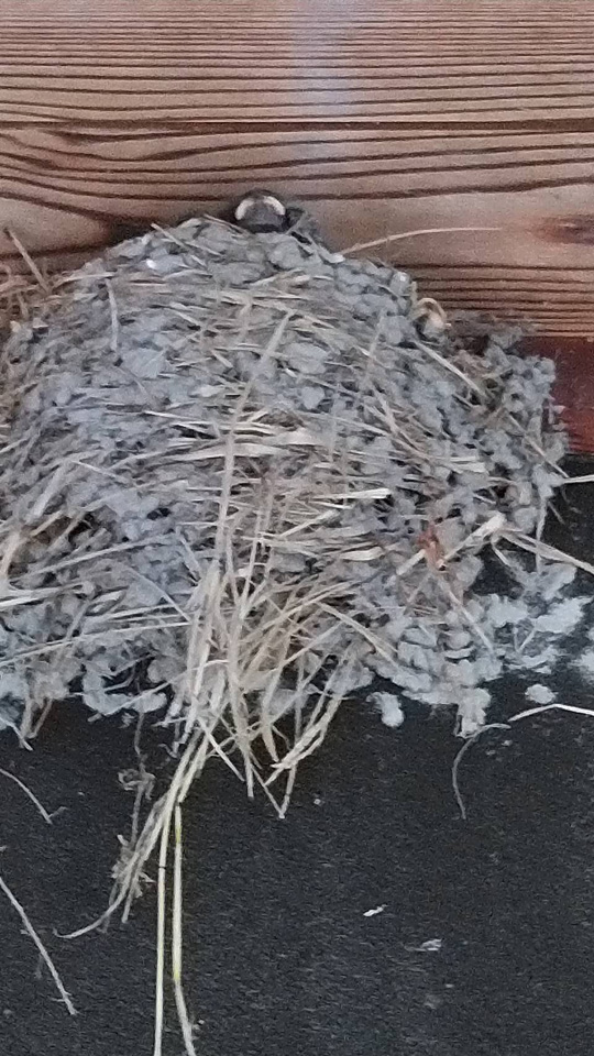 timeline_20200725_225831.jpg timeline_20200725_225831.jpg