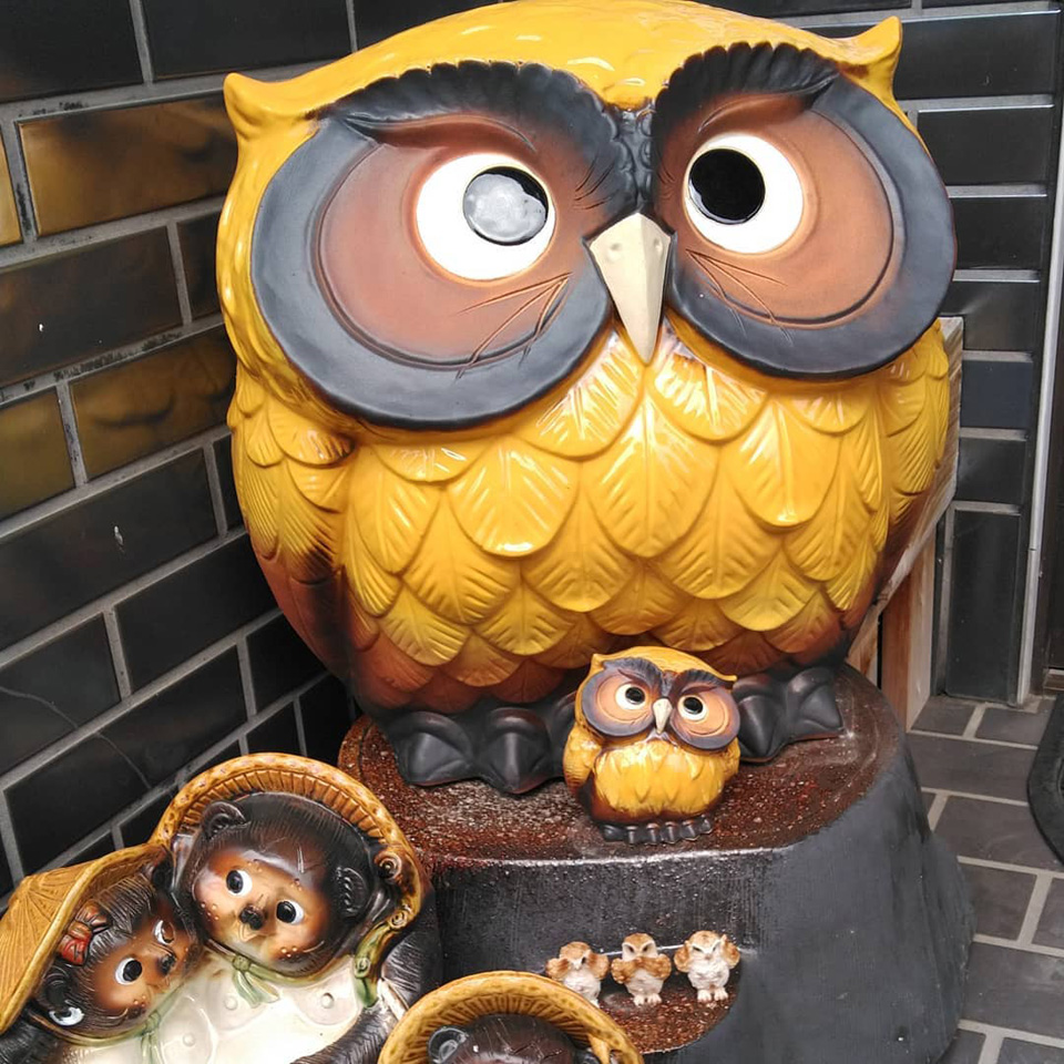 116157445_3002763373167310_.jpg 116157445_3002763373167310_.jpg