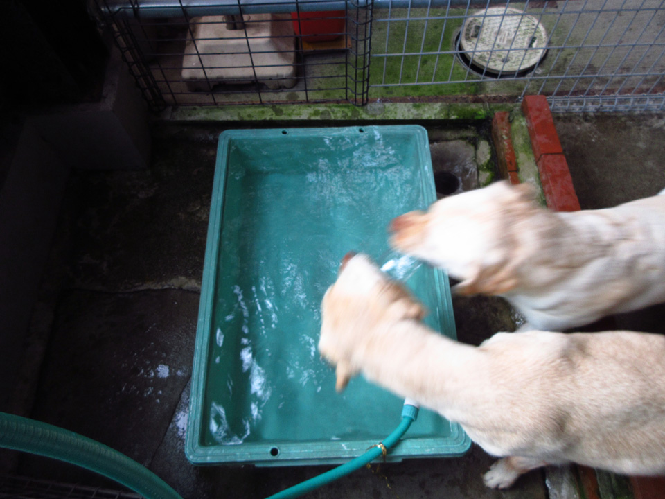 IMG_1151.jpg IMG_1151.jpg