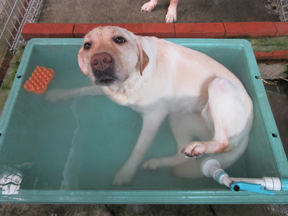 IMG_1154.jpg IMG_1154.jpg