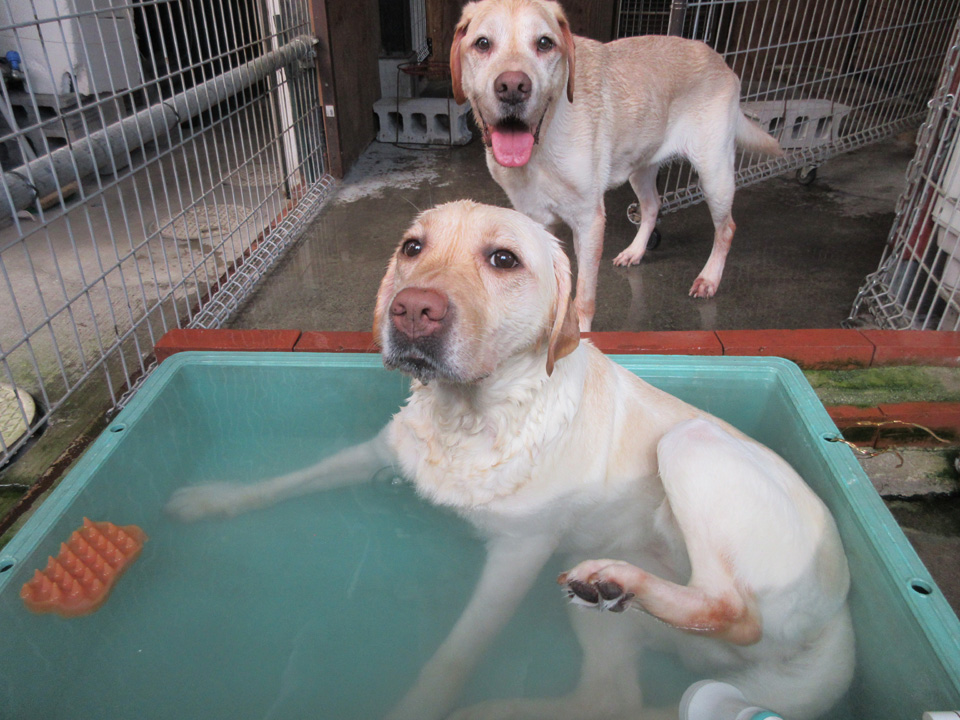 IMG_1155.jpg IMG_1155.jpg