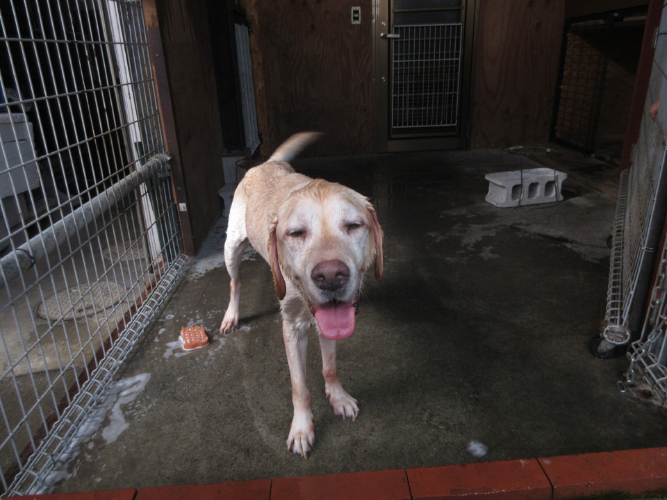 IMG_1156.jpg IMG_1156.jpg