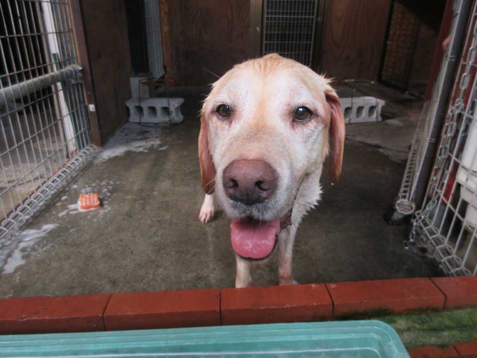 IMG_1158.jpg IMG_1158.jpg