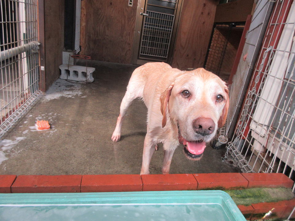 IMG_1159.jpg IMG_1159.jpg