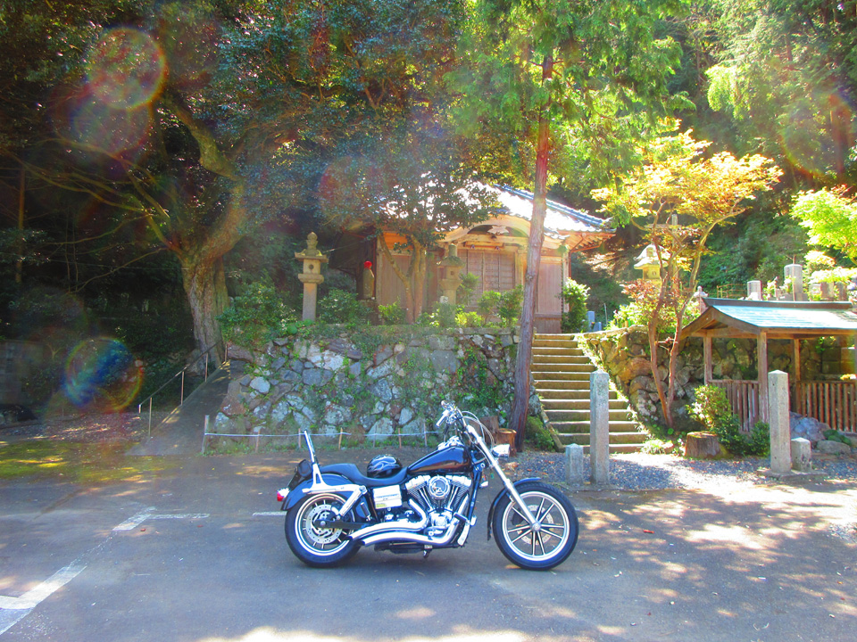 IMG_1191.jpg IMG_1191.jpg