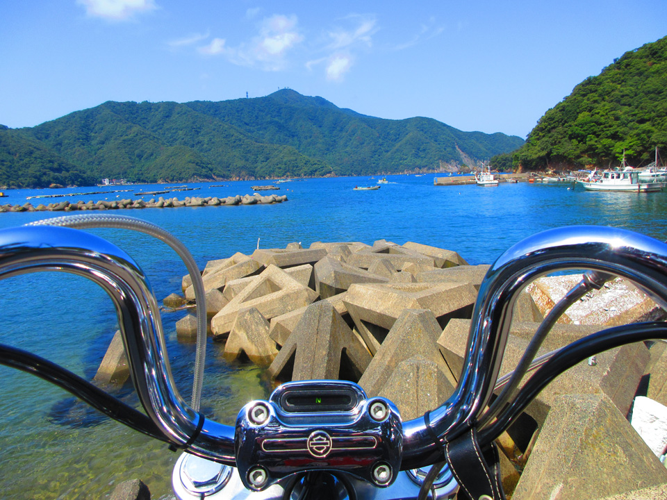 IMG_1193.jpg IMG_1193.jpg