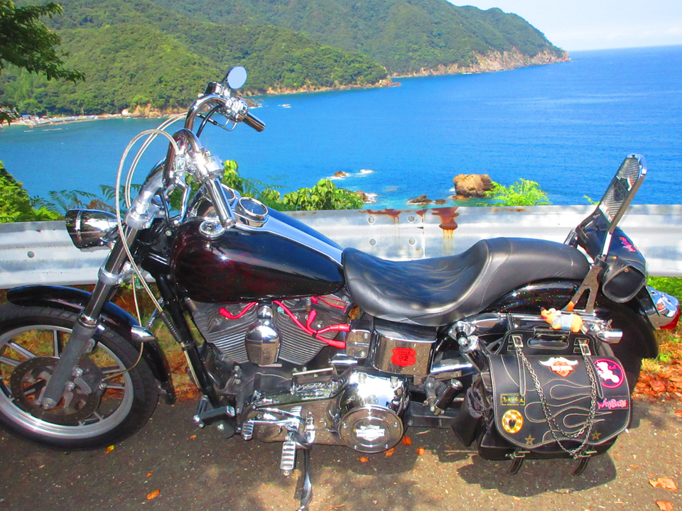 IMG_1195.jpg IMG_1195.jpg