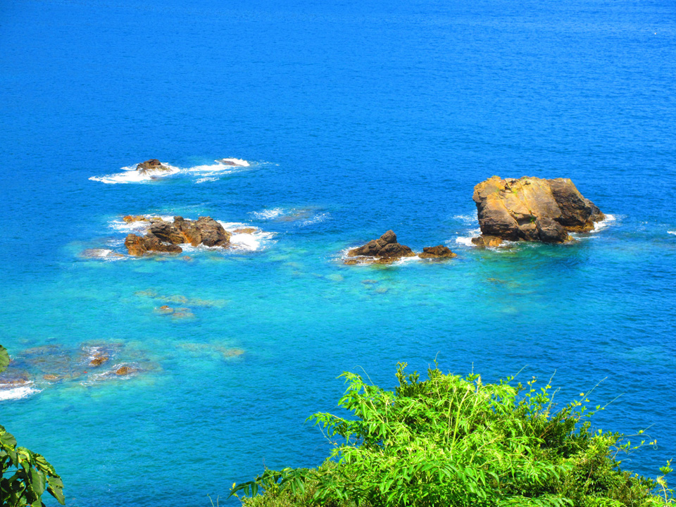 IMG_1198.jpg IMG_1198.jpg