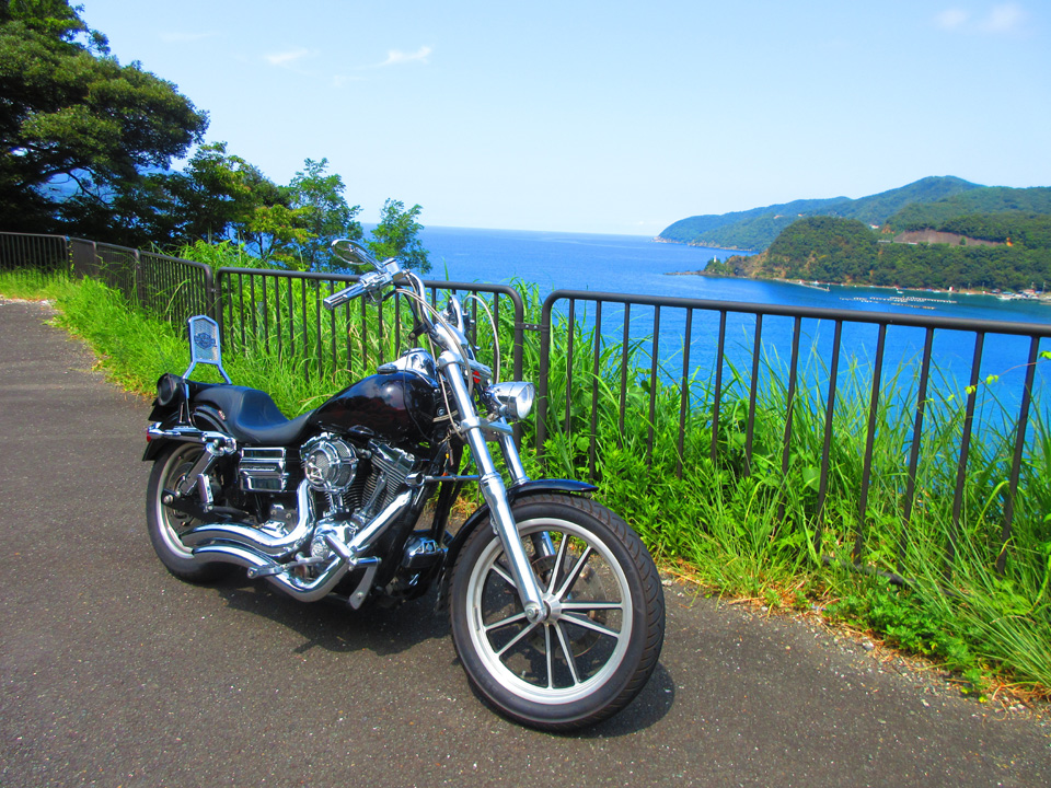 IMG_1200.jpg IMG_1200.jpg