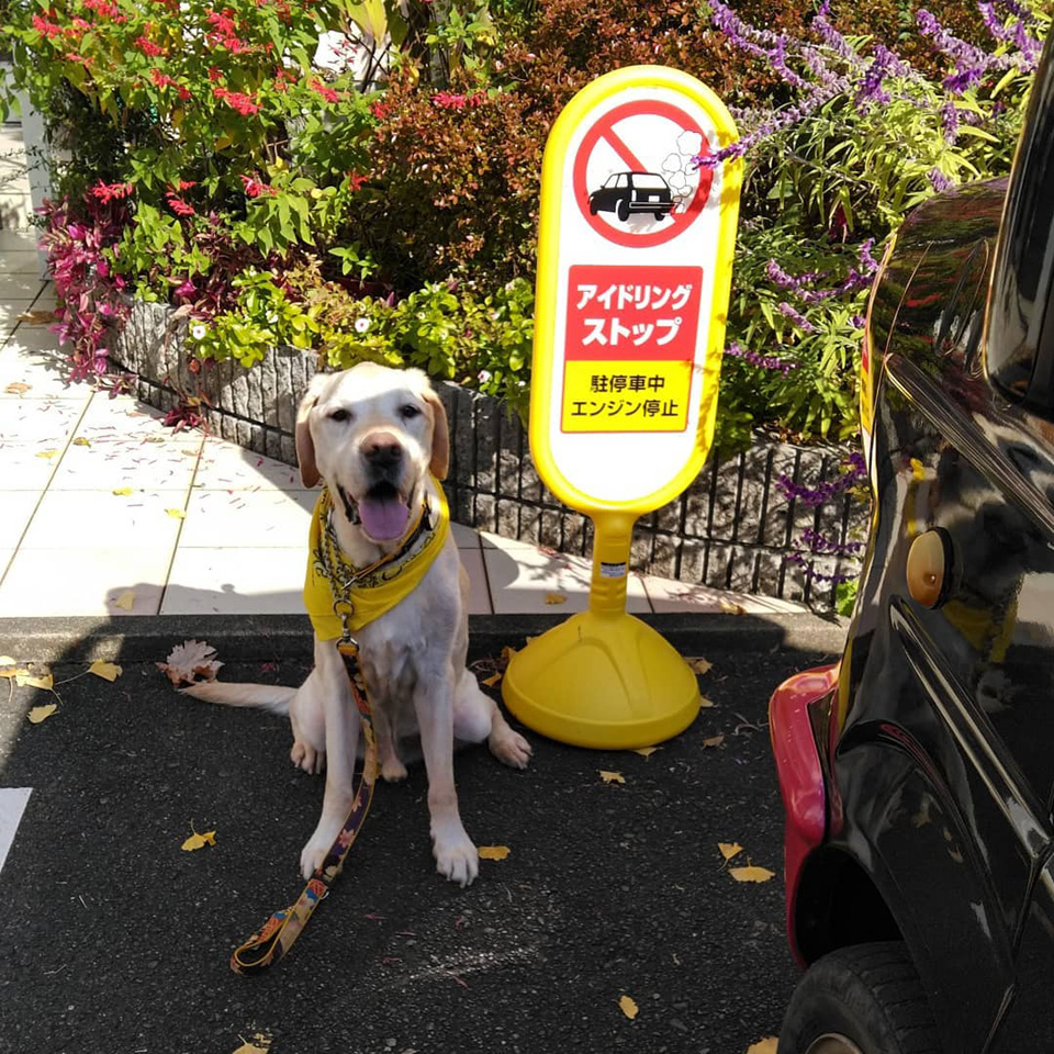 125846632_3337872569656387_.jpg 125846632_3337872569656387_.jpg