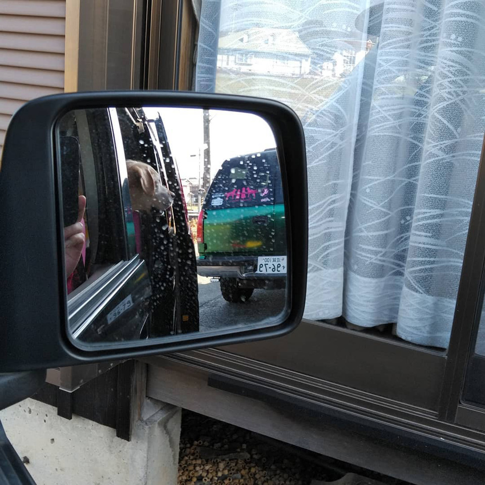 126060950_3337872526323058_.jpg 126060950_3337872526323058_.jpg